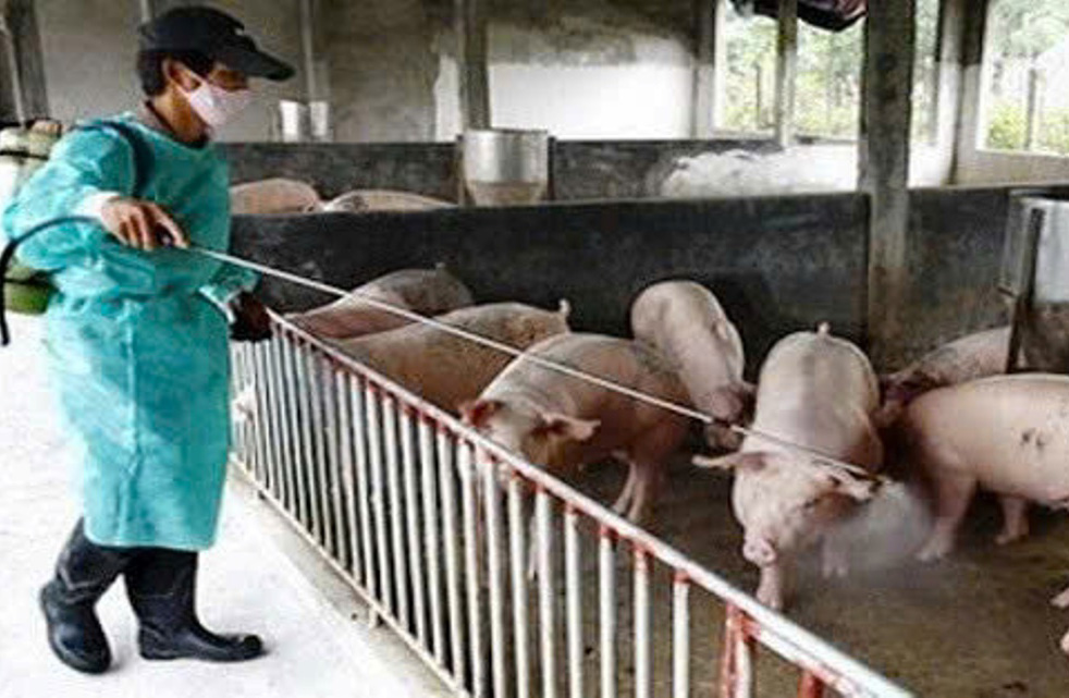 Thủ tục hỗ trợ cơ sở sản xuất bị thiệt hại do dịch bệnh động vật
